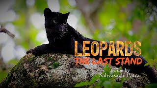 #leopards The Last Stand Trailer 2: Creature of Shadows #nature #wildlifedocumentary #wildlife