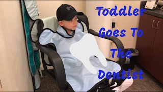 Toddler Goes To The Dentist| Vlogtober Day 10