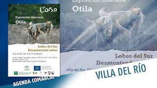 14 feb vdr expo el lobo