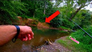 MICRO FISHING with TROUT MAGNET in suburban stream