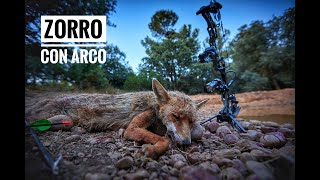 Bowhunting - Espera de Zorro Con Arco