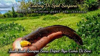 casting ikan gabus dengan lure Batara softfrog