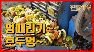 불멍 말고 이젠 호두멍때리기(여러분 호두멍 때려보세요)