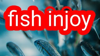 fish injoy أسماك تمرح poison de rivière