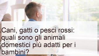 Animali domestici per bambini: quali sono i più indicati?