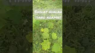 sholat adalah tiang agama#ceramah1menitmenyentuhhati #nature #virslshorts