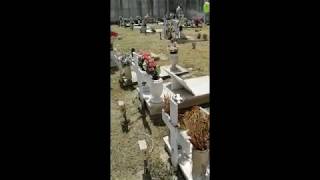 Manutenzione straordinaria del verde nei cimiteri cittadini