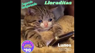 LLORADITA