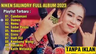 LAGU JAWA MASA KINI - NIKEN SALINDRY FULL ALBUM