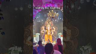 गणपति बप्पा मोरया #ganeshchaturthi #jabalpur #lalbaughcharaja #ganesh #ganesha #ganpatibappamorya