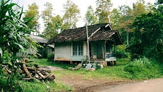 Suasana Alam Pedesaan Perbatasan Garut Utara Bandung Makin Betah dan Nyaman