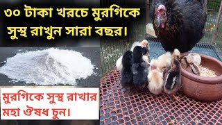 অল্প খরচে মুরগিকে সুস্থ রাখার উপায়।