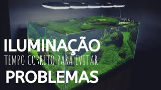 Iluminação | Quanto Tempo a Luz do Aquário Deve Ficar Acessa