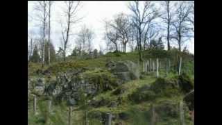 Dans les Vosges en avril mai 2008