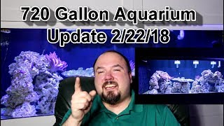 720 Gallon Aquarium Update 2/22/18