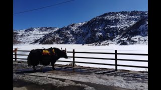 GANGTOK (sikkim) - Family trip #travelindia