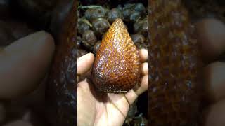 Salak Pondoh Banjarnegara siap di order #shorts