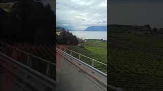 #travelvlog #lacleman #cool #place #freedom #switzerland #2024