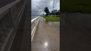 Hurricane Idalia storm surge #hurricane #tampa #fyp #shortsvideo #shortsfeed #shortsviral #idalia #