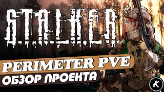 DAYZ | ОБЗОР ПРОЕКТА PERIMETER PVE I #dayz #stalker