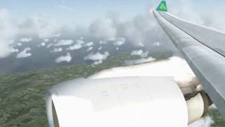 Aer Lingus Airbus A330-300 to Dublin