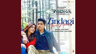 Zindagi Tere Naam