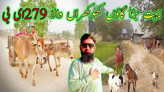 279 EB Village Vlog: A Day in the Life" @SajidAliw100