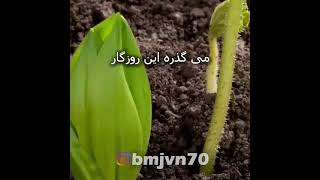 آهنگ "عید شما مبارک" ناصر چشم‌آذر - کیبورد KORG