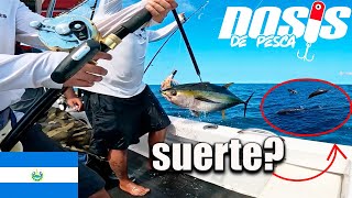 Pesca de Atunes en Alta Mar Delfines nos ayudan?