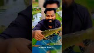 M4tech magic Fishing Net|#M4Tech||#MalluFans||#shorts ||#trending