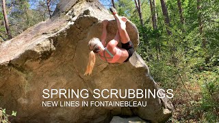 Spring Scrubbings in Fontainebleau