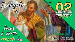 Lucas 2, 22-40 (Amor y Vida)