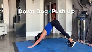 Downdog to Pushup I Dollar Train Club