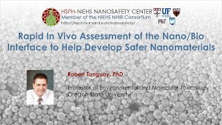 Rapid In Vivo Assessment of the Nano/Bio Interface to Help Develop Safer Nanomaterials