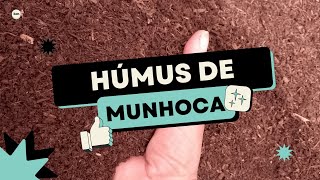 #Tudo sobre húmus de minhoca