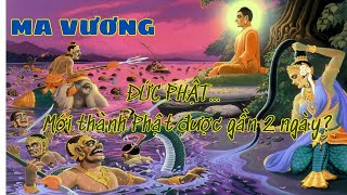 MA VƯƠNG