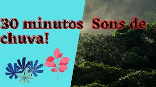 30 minutos Sons de chuva!