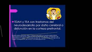 Trastornos de la conducta y actividad cerebral. Dr. Alejandro Ríos Valles