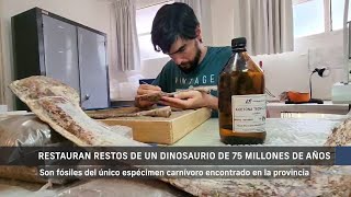 Restauran restos de un dinosaurio de 75 millones de años