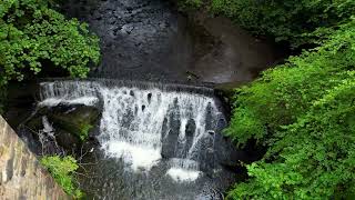 Exploring the Mysterious Depths of Healey Dell with its nature relaxing music