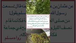 من أقوال الرسول صلى الله عليه وسلم ‏⁧‫#السنة_النبوية #رواه_مسلم #أخرجه_مسلم  ‬⁩ً