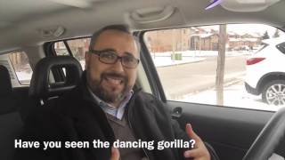 Have you found your dancing gorilla?