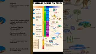 Geological & Continental History  - Human Evolution #system #shorts #upsc #bpsc #tnpsc #ssc