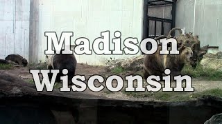 Un zoológico en Madison, WI | USA 2019 #6