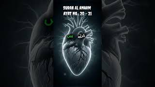 Surah Al Anaam | Ayat No - 20 - 21 | Urdu Translation |