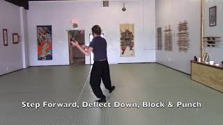 Ezra Tai Chi Long Form