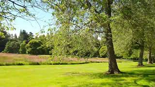 The road to the Cawdor castle and Gardens (Scotland)