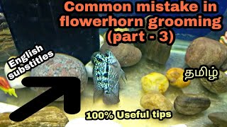 Common mistake in flowerhorn grooming (part -3) | Aquapets & farm