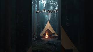 حضرت فاطمہ سلام اللہ علیہا فرماتی ہیں میں حضور کی زلفیں دھوتی جاتی💯✌#islamicstatus #youtubeshorts #v