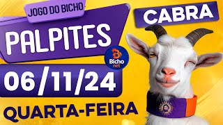 PALPITE DO DIA 06/11/2024 - JOGO DO BICHO 🍀 TODAS AS LOTERIAS 🍀